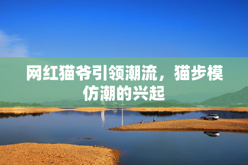网红猫爷引领潮流，猫步模仿潮的兴起