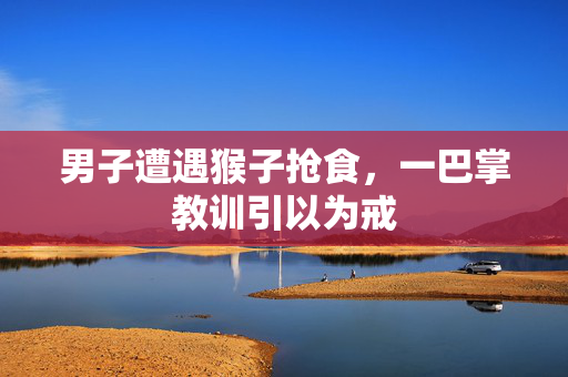 男子遭遇猴子抢食，一巴掌教训引以为戒