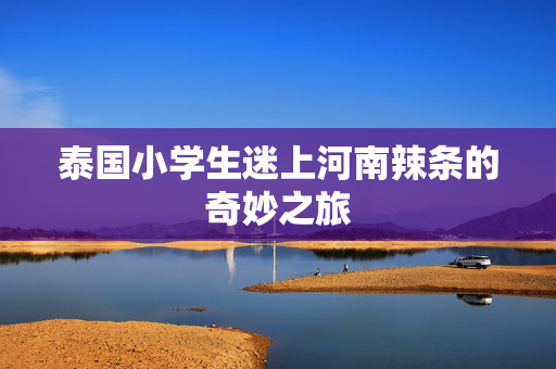 泰国小学生迷上河南辣条的奇妙之旅