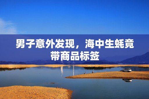男子意外发现，海中生蚝竟带商品标签