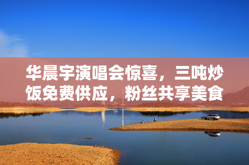 华晨宇演唱会惊喜，三吨炒饭免费供应，粉丝共享美食盛宴一扫而空