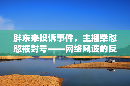 胖东来投诉事件，主播柴怼怼被封号——网络风波的反思与启示