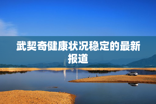 武契奇健康状况稳定的最新报道