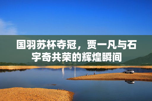 国羽苏杯夺冠，贾一凡与石宇奇共荣的辉煌瞬间