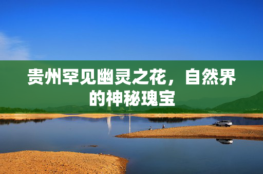 贵州罕见幽灵之花，自然界的神秘瑰宝