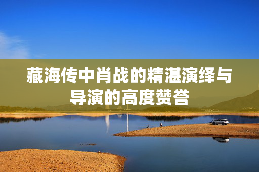 藏海传中肖战的精湛演绎与导演的高度赞誉