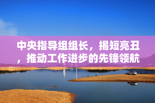 中央指导组组长，揭短亮丑，推动工作进步的先锋领航者