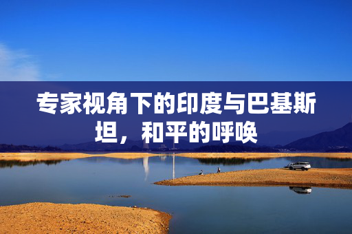 专家视角下的印度与巴基斯坦，和平的呼唤
