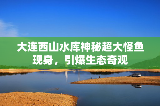 大连西山水库神秘超大怪鱼现身，引爆生态奇观