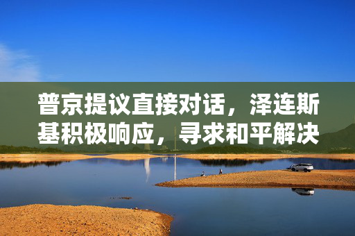 普京提议直接对话，泽连斯基积极响应，寻求和平解决方案