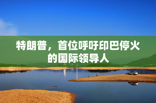 特朗普，首位呼吁印巴停火的国际领导人