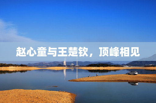 赵心童与王楚钦，顶峰相见