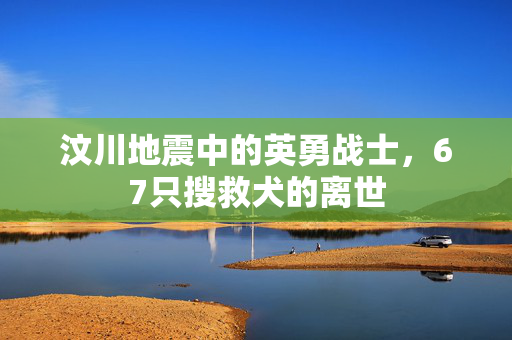 汶川地震中的英勇战士，67只搜救犬的离世