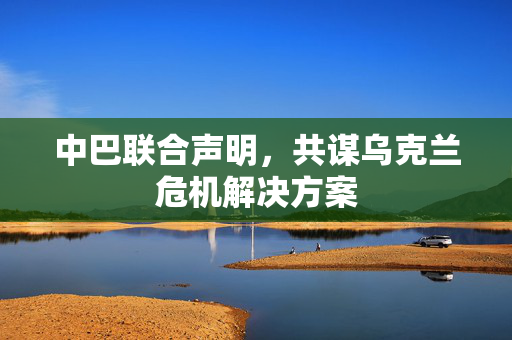 中巴联合声明，共谋乌克兰危机解决方案