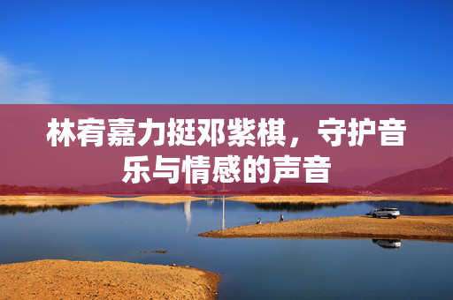 林宥嘉力挺邓紫棋，守护音乐与情感的声音