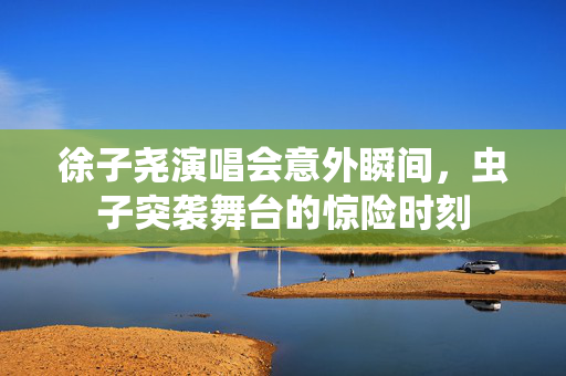 徐子尧演唱会意外瞬间，虫子突袭舞台的惊险时刻