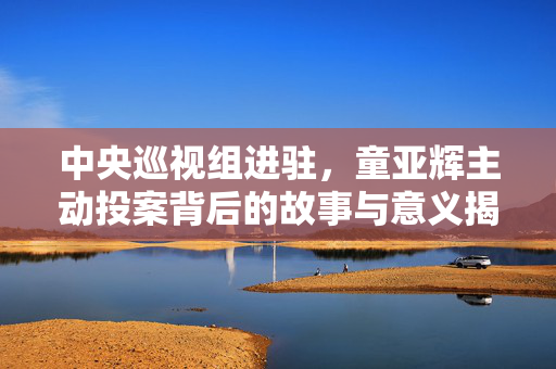 中央巡视组进驻，童亚辉主动投案背后的故事与意义揭秘