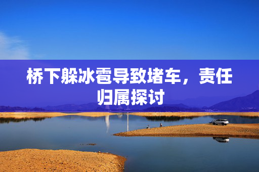 桥下躲冰雹导致堵车，责任归属探讨