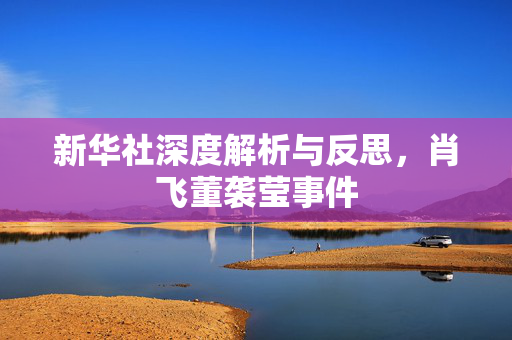 新华社深度解析与反思，肖飞董袭莹事件