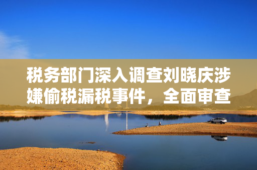 税务部门深入调查刘晓庆涉嫌偷税漏税事件，全面审查与追责的背后