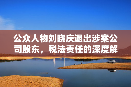 公众人物刘晓庆退出涉案公司股东，税法责任的深度解读