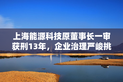 上海能源科技原董事长一审获刑13年，企业治理严峻挑战的警钟长鸣