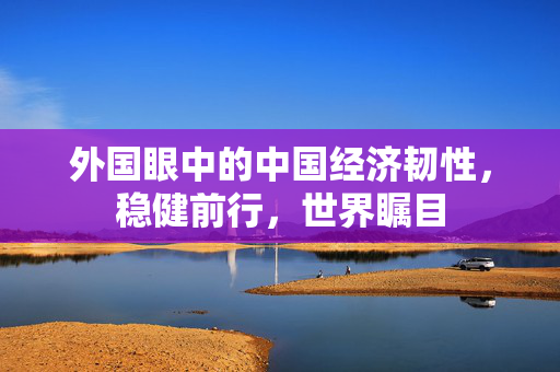 外国眼中的中国经济韧性，稳健前行，世界瞩目