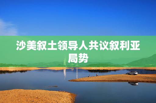 沙美叙土领导人共议叙利亚局势