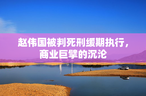赵伟国被判死刑缓期执行，商业巨擘的沉沦