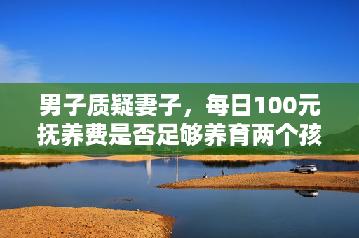 男子质疑妻子，每日100元抚养费是否足够养育两个孩子？