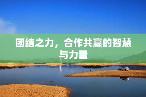 团结之力，合作共赢的智慧与力量