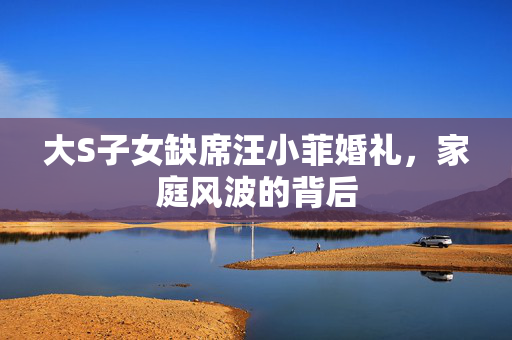 大S子女缺席汪小菲婚礼，家庭风波的背后