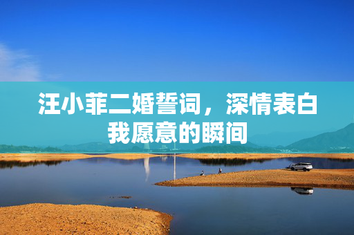 汪小菲二婚誓词，深情表白我愿意的瞬间