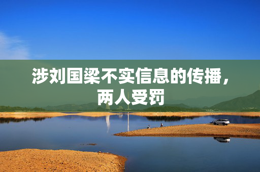 涉刘国梁不实信息的传播，两人受罚