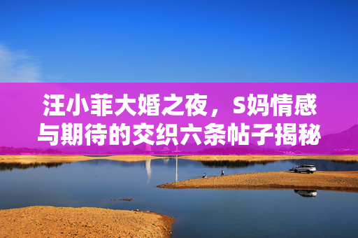 汪小菲大婚之夜，S妈情感与期待的交织六条帖子揭秘