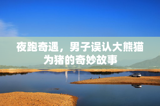 夜跑奇遇，男子误认大熊猫为猪的奇妙故事