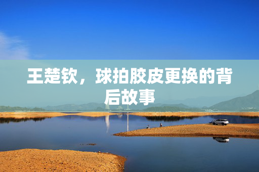 王楚钦，球拍胶皮更换的背后故事