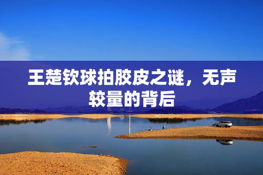 王楚钦球拍胶皮之谜，无声较量的背后