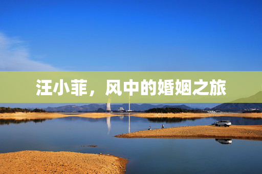 汪小菲，风中的婚姻之旅