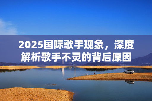 2025国际歌手现象，深度解析歌手不灵的背后原因