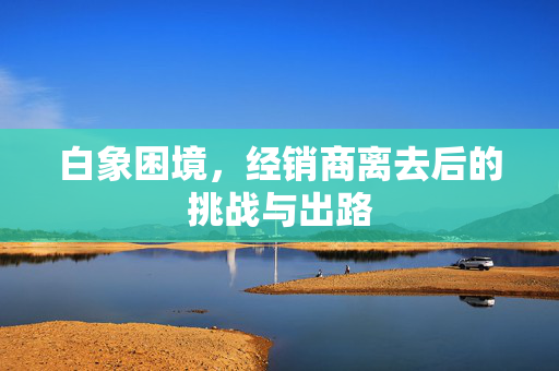 白象困境，经销商离去后的挑战与出路