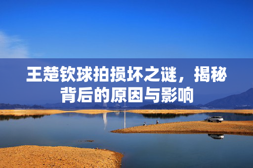 王楚钦球拍损坏之谜，揭秘背后的原因与影响