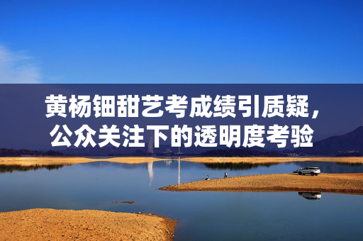 黄杨钿甜艺考成绩引质疑，公众关注下的透明度考验