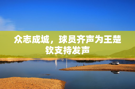 众志成城，球员齐声为王楚钦支持发声