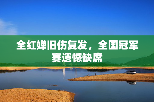 全红婵旧伤复发，全国冠军赛遗憾缺席
