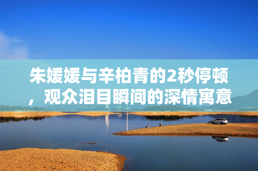 朱媛媛与辛柏青的2秒停顿，观众泪目瞬间的深情寓意