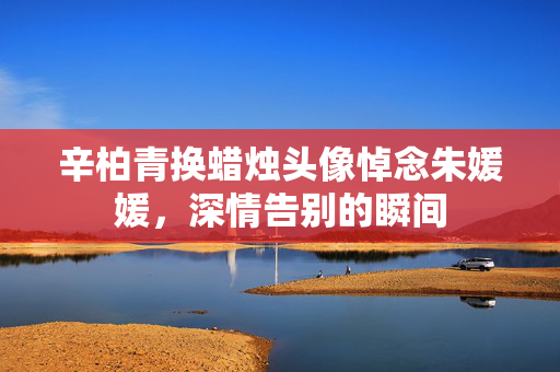 辛柏青换蜡烛头像悼念朱媛媛，深情告别的瞬间