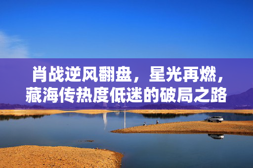 肖战逆风翻盘，星光再燃，藏海传热度低迷的破局之路