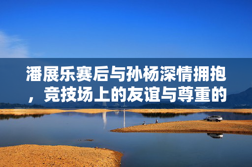 潘展乐赛后与孙杨深情拥抱，竞技场上的友谊与尊重的体现