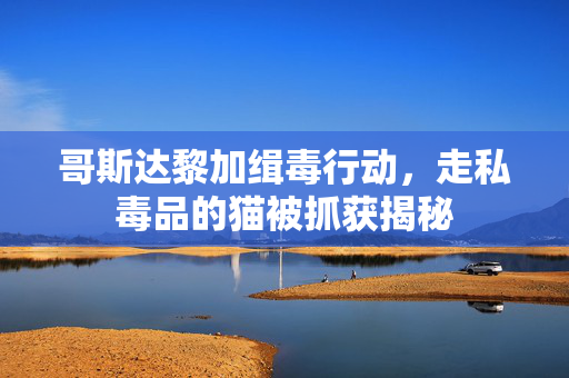 哥斯达黎加缉毒行动，走私毒品的猫被抓获揭秘